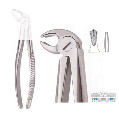 Extracting Forceps